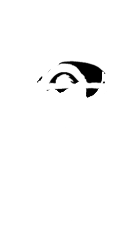 Ray